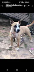 HUGO