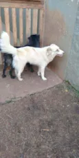 Pretinho e Marlon