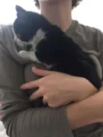 Noni