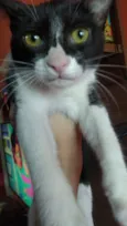 Não tem