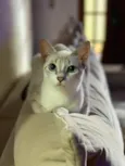 Mary