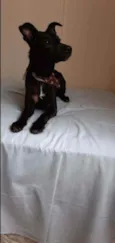 Fiona