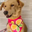 Princesa