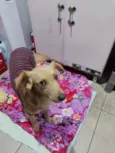 Princesa