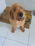Vitória
