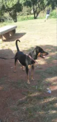 Boby