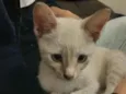 Mariáh