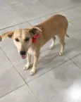Penélope