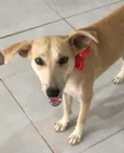 Penélope