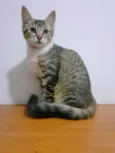 Felicity