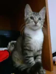 Felicity