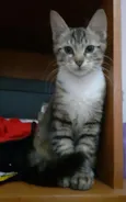 Felicity