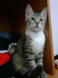 Felicity