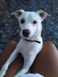 Tobby