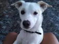 Tobby