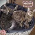 Bella e Mimo