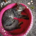 Bella e Mimo