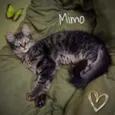 Bella e Mimo