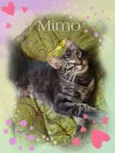 Bella e Mimo