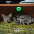 Bella e Mimo