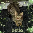 Bella e Mimo