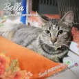 Bella e Mimo