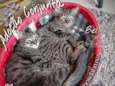 Bella e Mimo