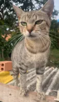 Mia