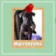 Marronzinha