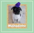 Malhadinho