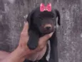 Rubi 