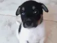 Malhadinho
