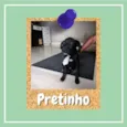 Pretinho