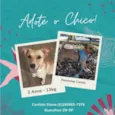 Chico