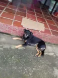 Tróia