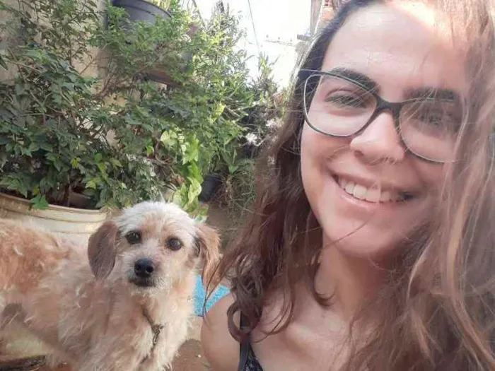 Cachorro ra a SRD-ViraLata idade 4 anos nome Simba