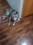 Kira