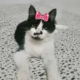 Nina 