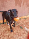 BRUCE