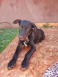 BRUCE