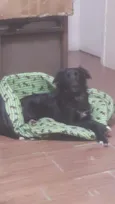 Dori
