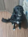 Dori