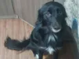 Dori
