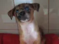 Tofu