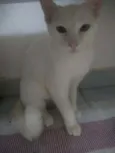 Julie