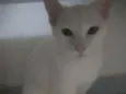 Julie