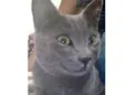 Tom 