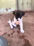 Ainda não tem nomes