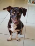 Jack