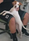 Nina